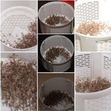 Mata Mosquito USB Inteligente